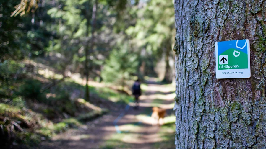 EifelSpuren Pingenwanderweg