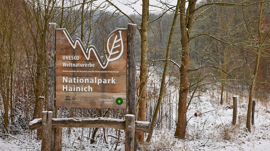 Bummelkuppenweg - Nationalpark Hainich