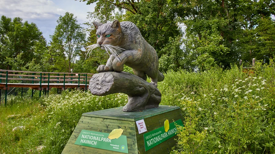 Wildkatzenpfad Hütscheroda