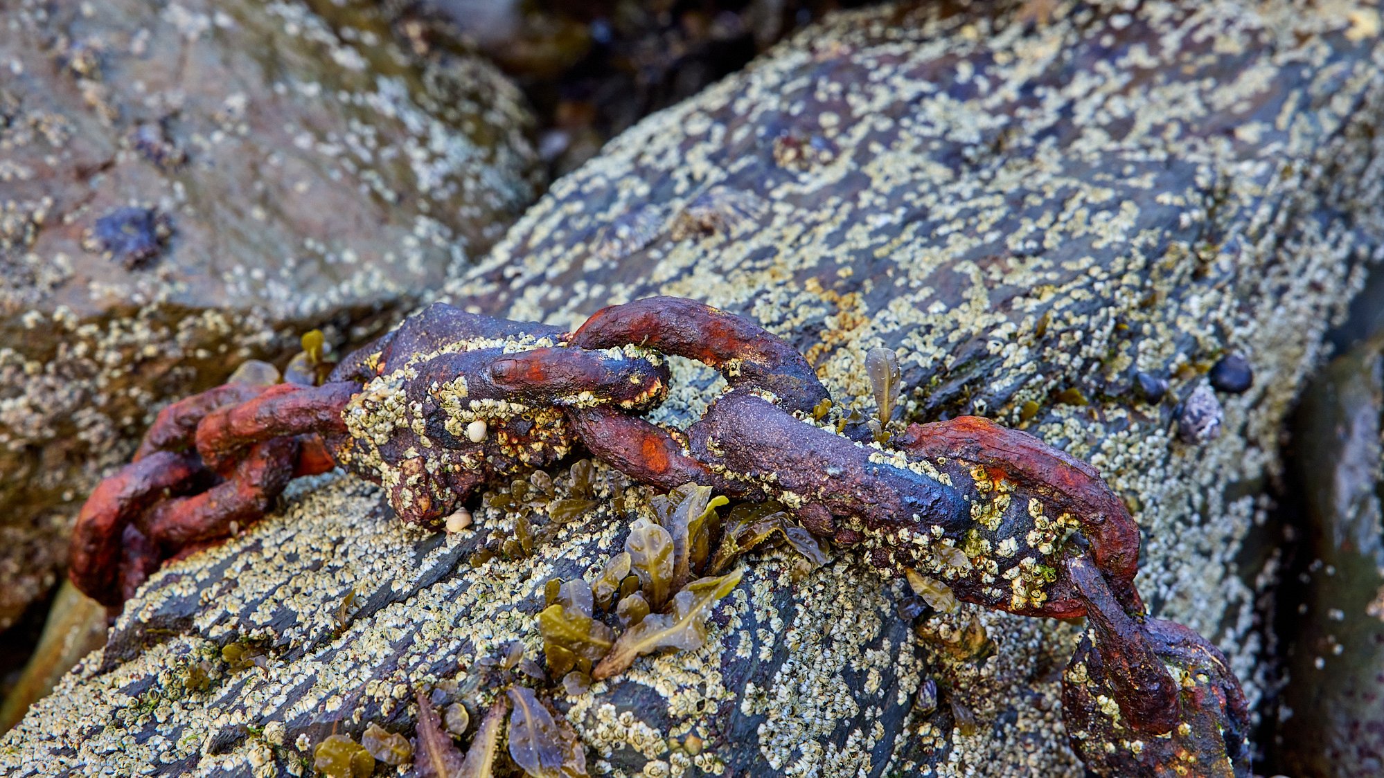 Telgruc sur Mer