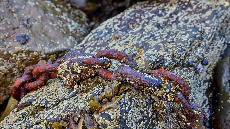 Telgruc sur Mer