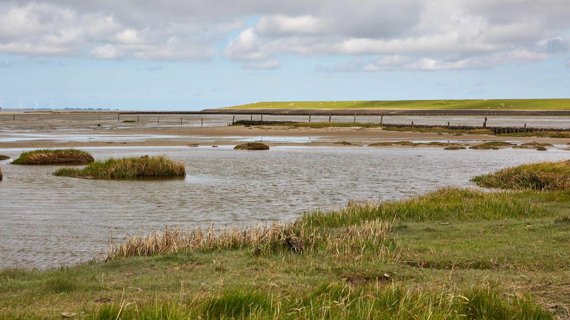 Nationalpark Schleswig Holsteinisches Wattenmeer