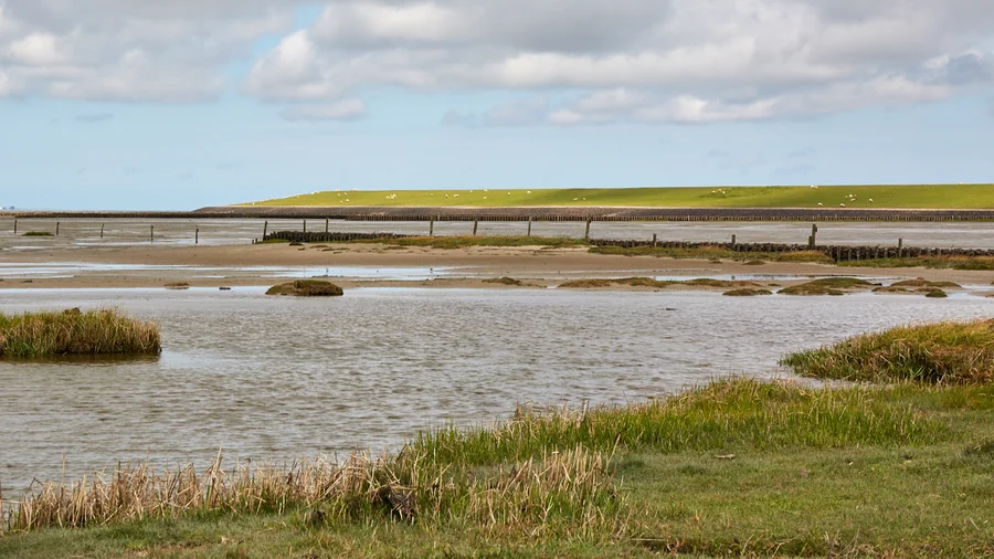 Nordseeküste