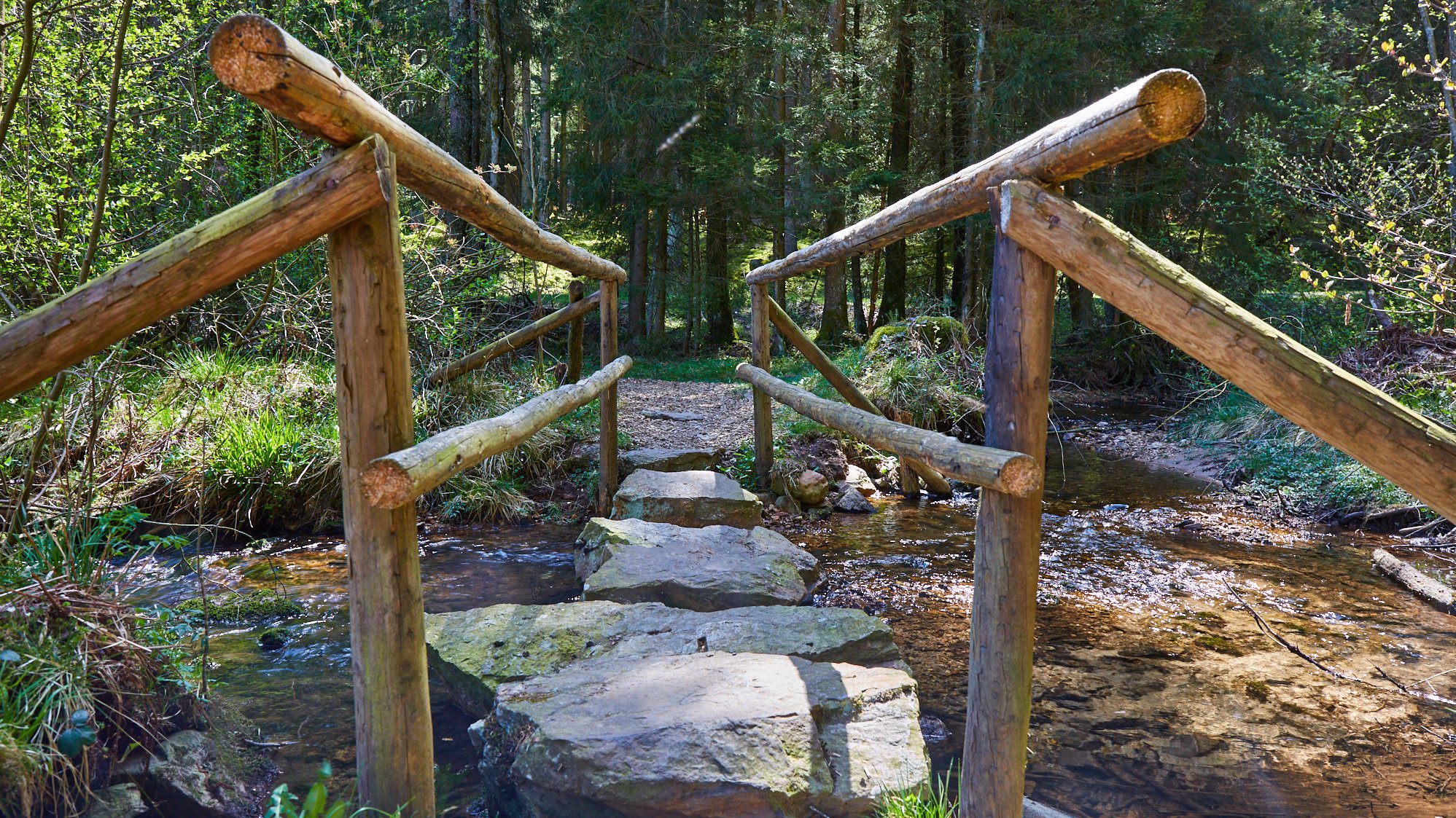 Nationalpark Hunsrück-Hochwald