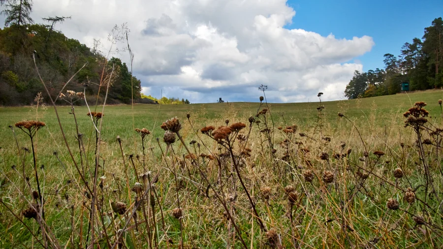 Bloßenberg Route - Nationalpark Kellerwald Edersee