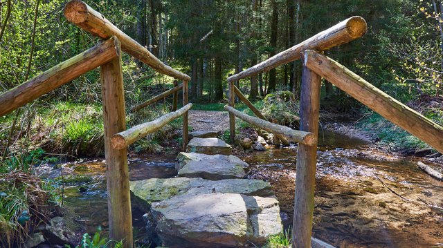 Börfinker Ochsentour Wanderung im Nationalpark Hunsrück deutschland