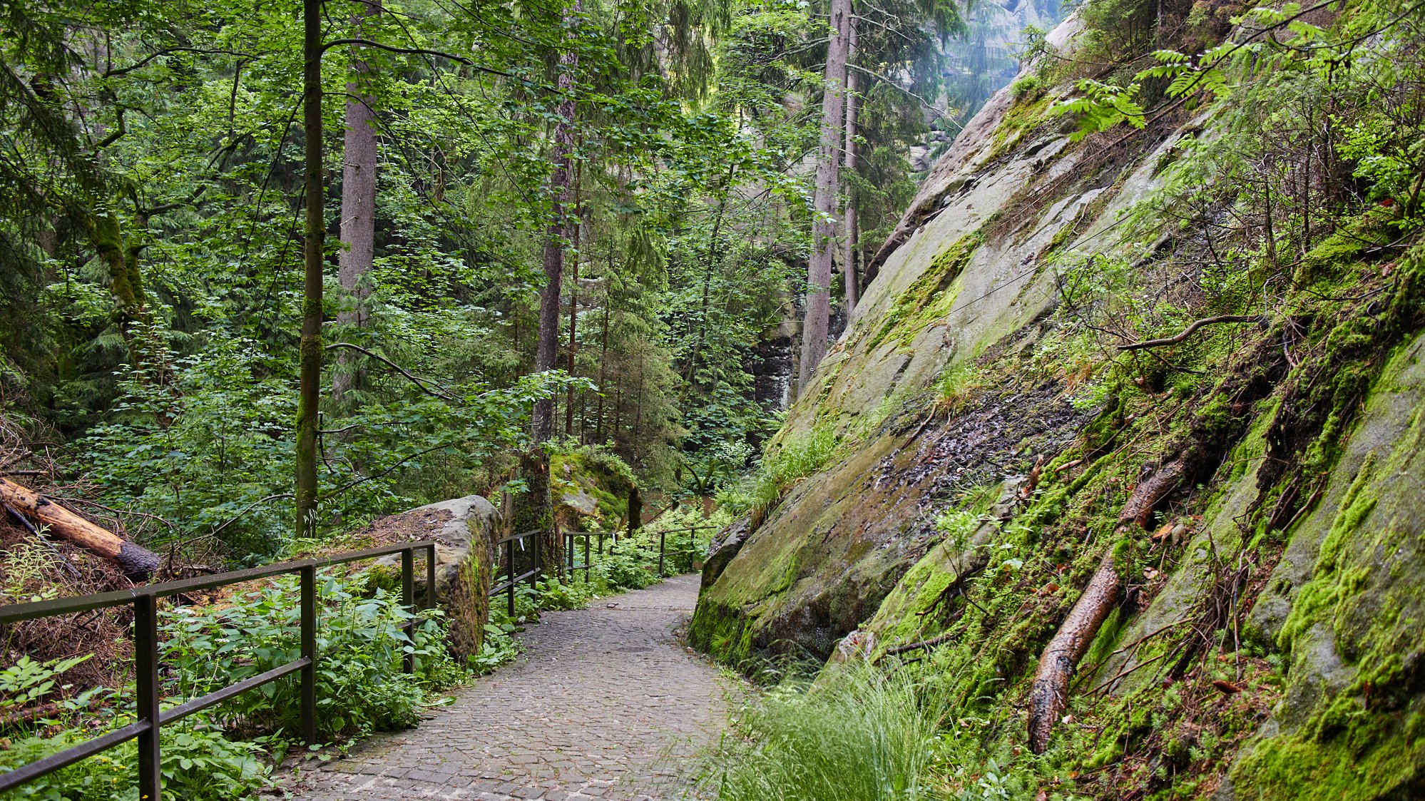 Kirnitzschklamm