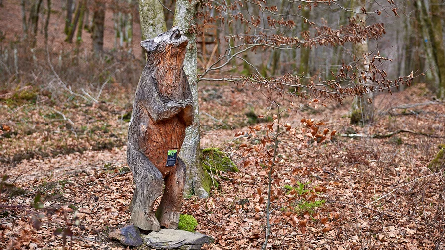 Wäller Tour Eisenbachtal