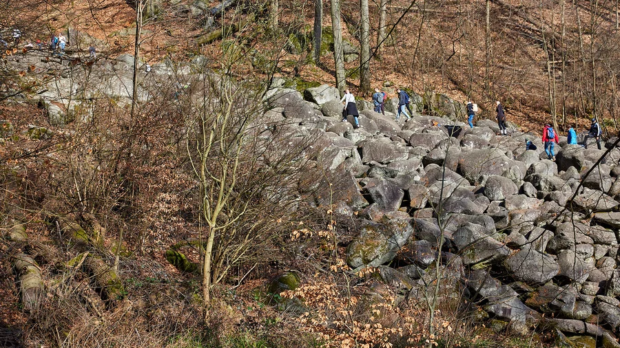 Felsenmeer Odenwald
