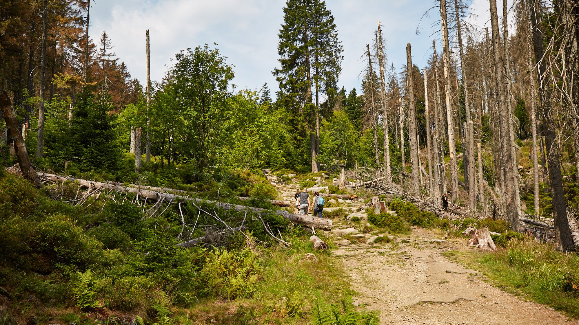 Brocken
