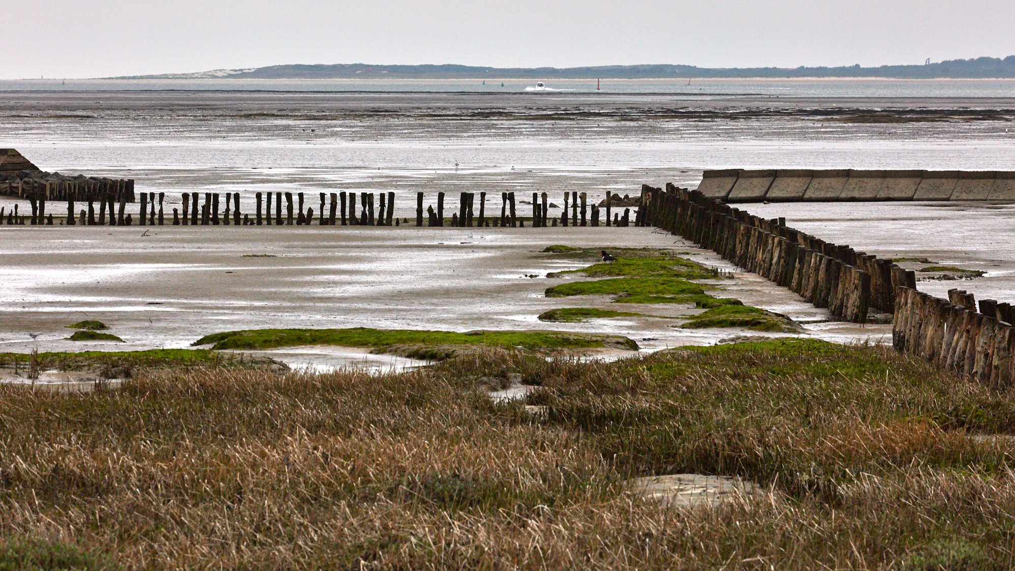 Niedersächsische Wattenmeer