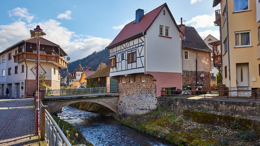Neckarsteinach