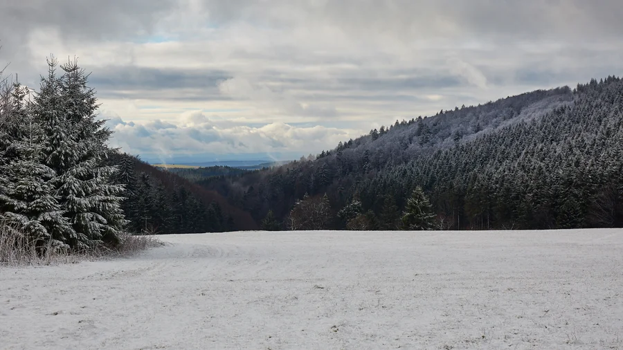 Am Rennsteig