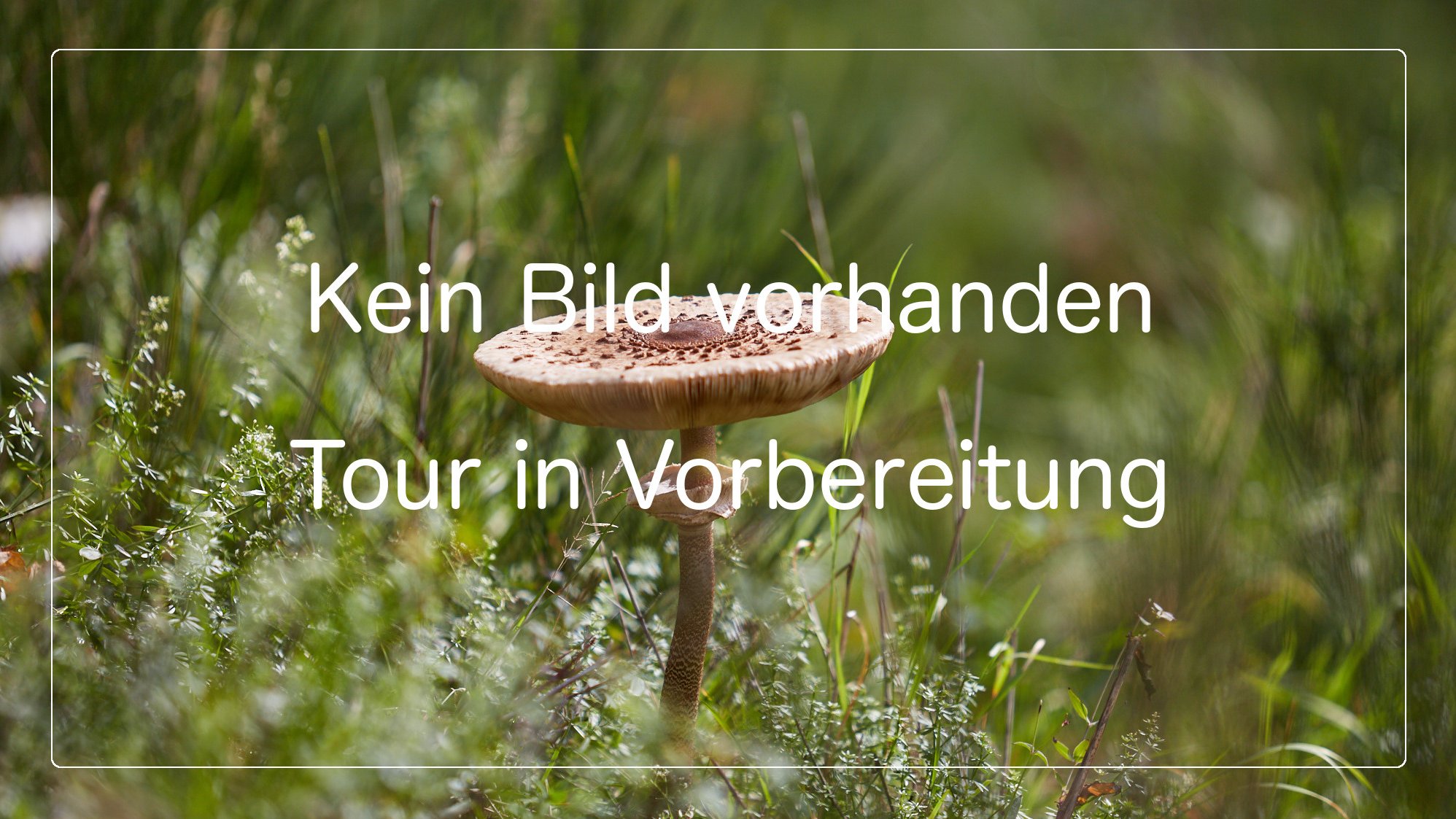 Hamburgisches Wattenmeer