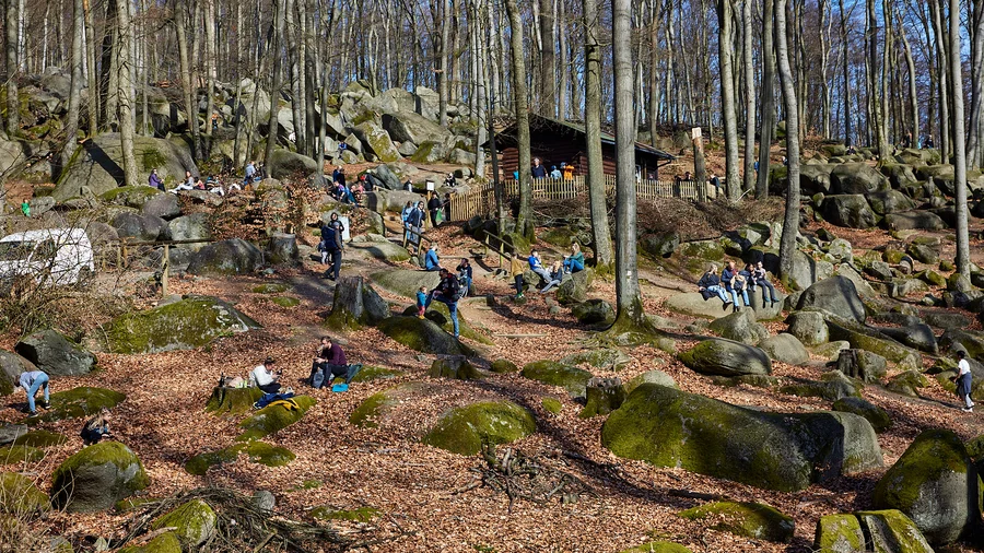 Felsenmeer Odenwald