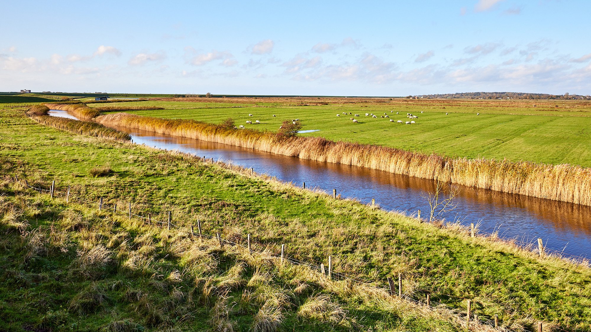 Husum
