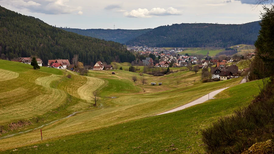 Baiersbronner Satteleisteig