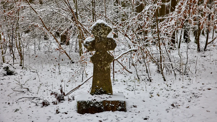 Bummelkuppenweg - Nationalpark Hainich