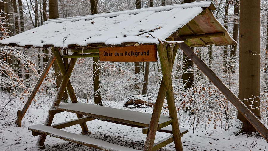 Bummelkuppenweg - Nationalpark Hainich