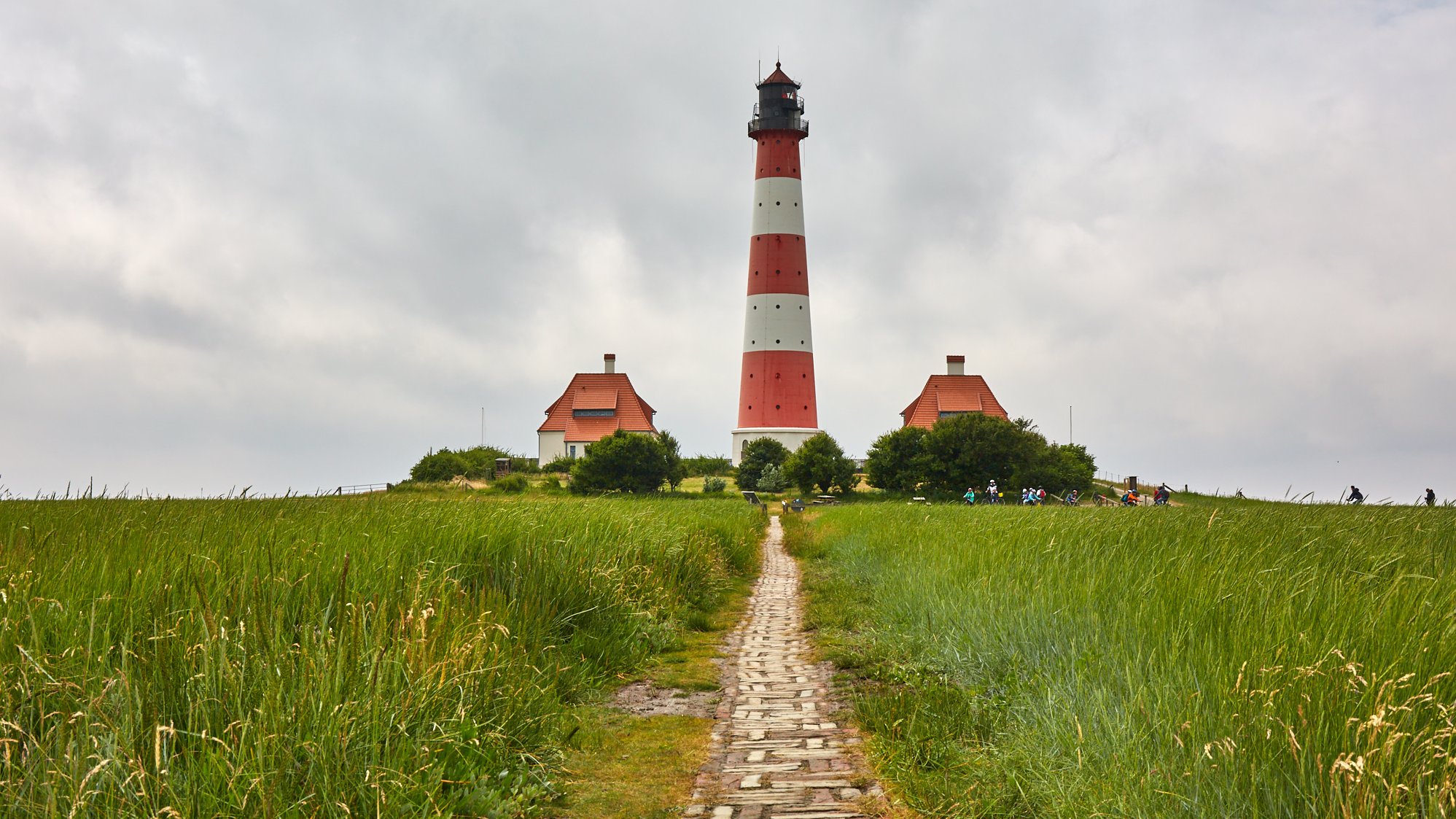 Salzwiesen bei Westerhever