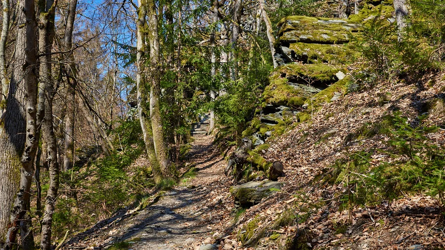 Wisper Trails