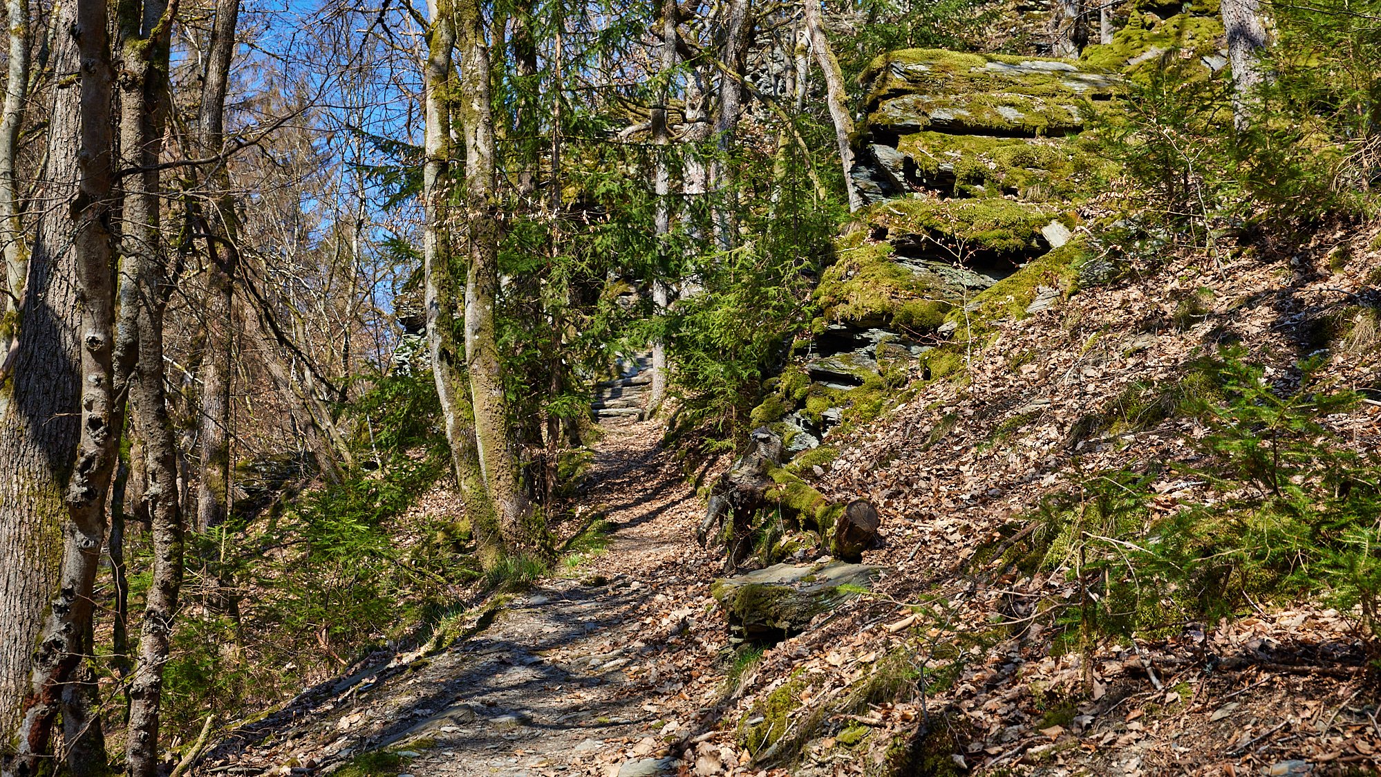 Wisper Trails