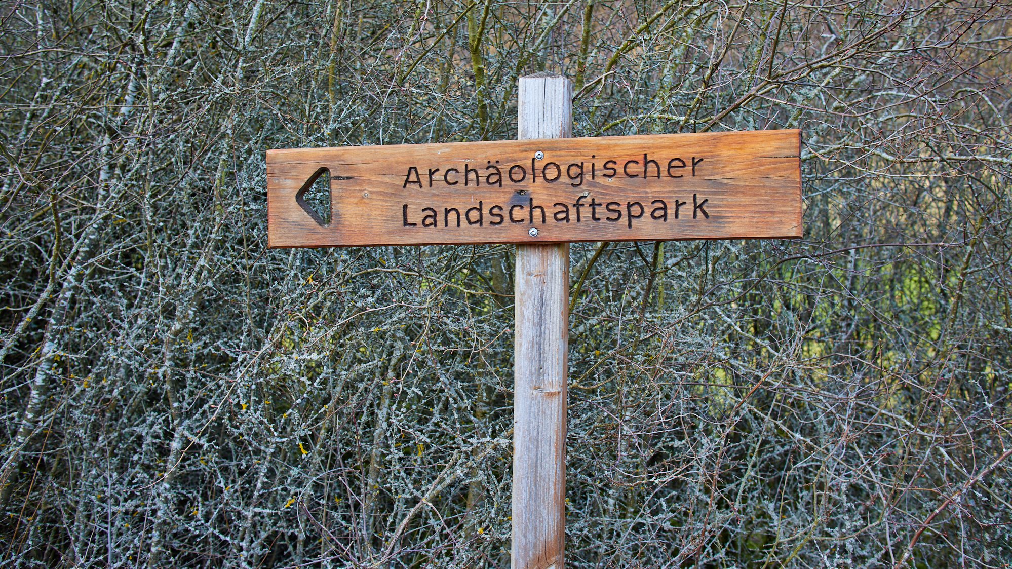 Nettersheim