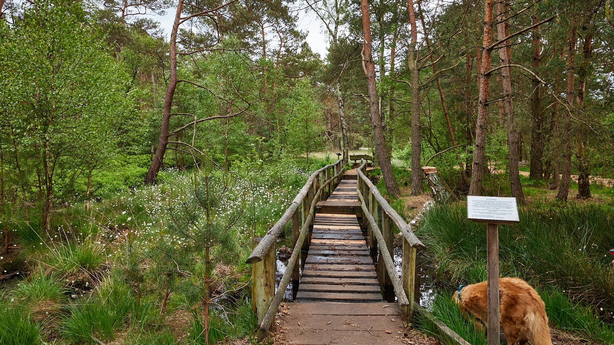 Nordpfad Dör't Moor