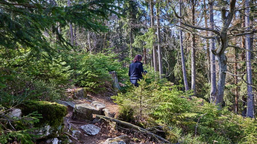 Kirschweiler Festung