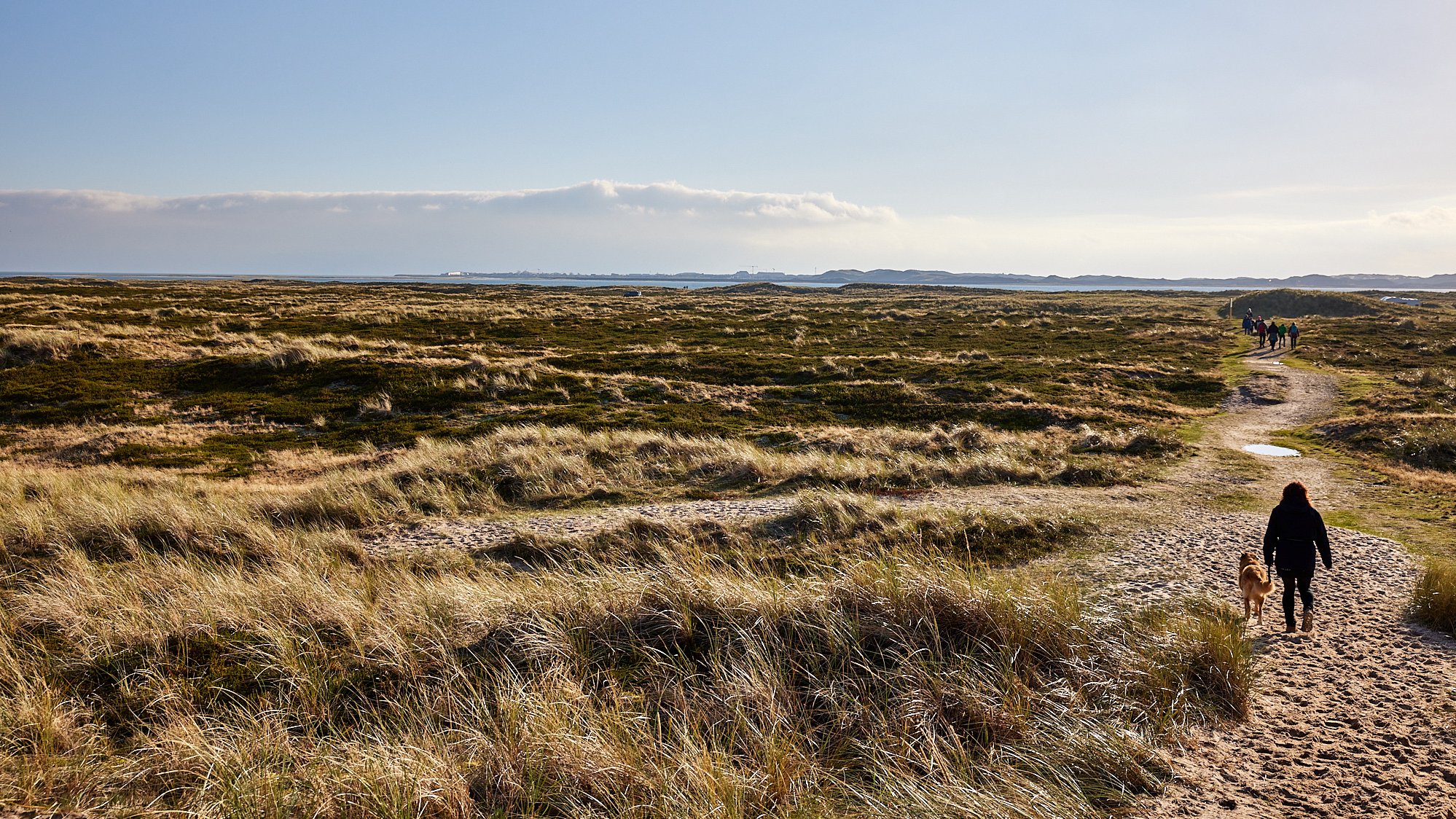 Dünen auf Sylt