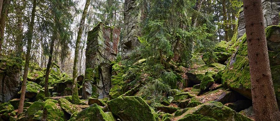 Steinwand Rhön