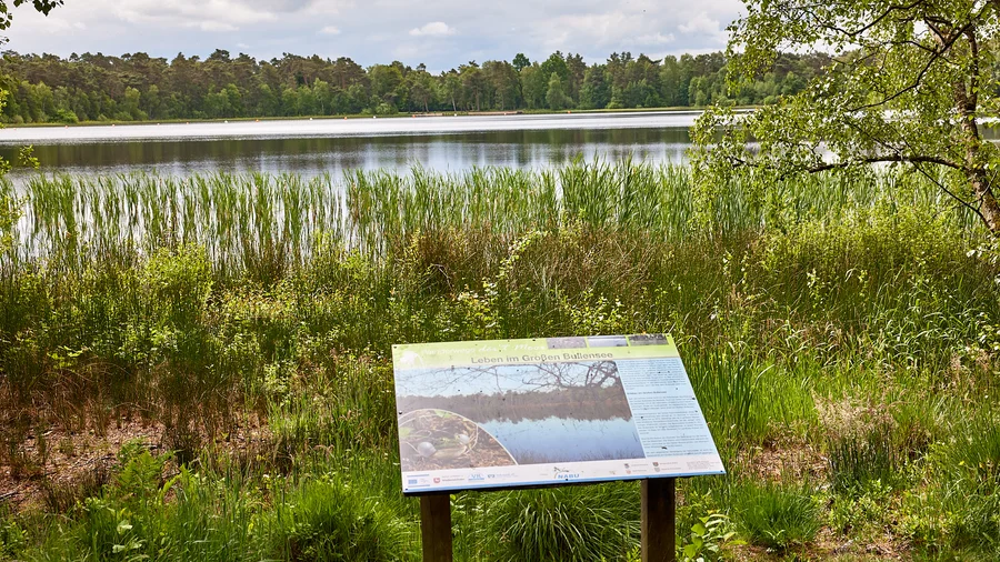 Nordpfad Dör't Moor