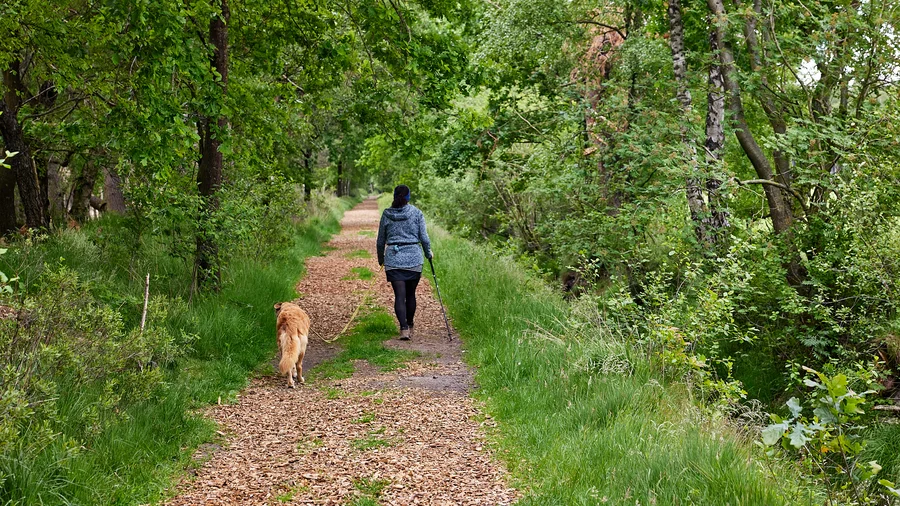Nordpfad Dör't Moor