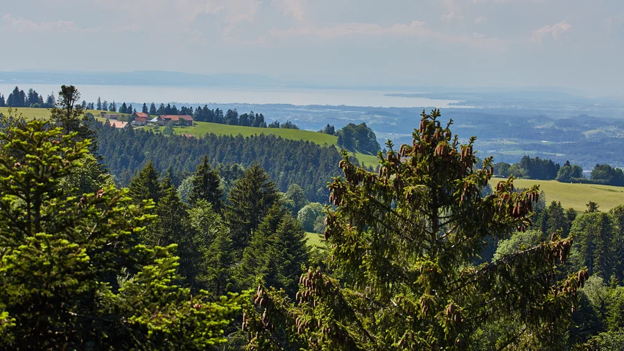skywalk Allgäu