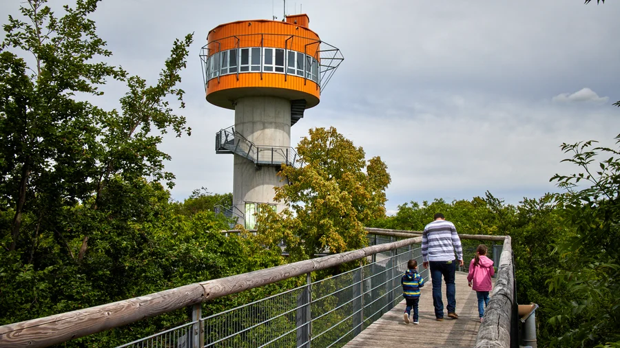 Baumkronenpfad