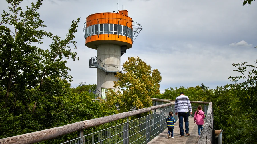 Baumkronenweg Hainich
