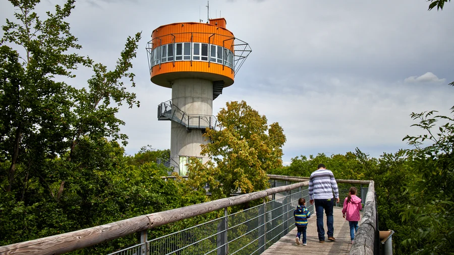 Nationalpark Hainich