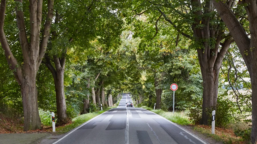 Deutsche Allestraße