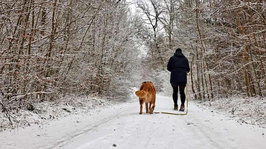 Bummelkuppenweg - Nationalpark Hainich
