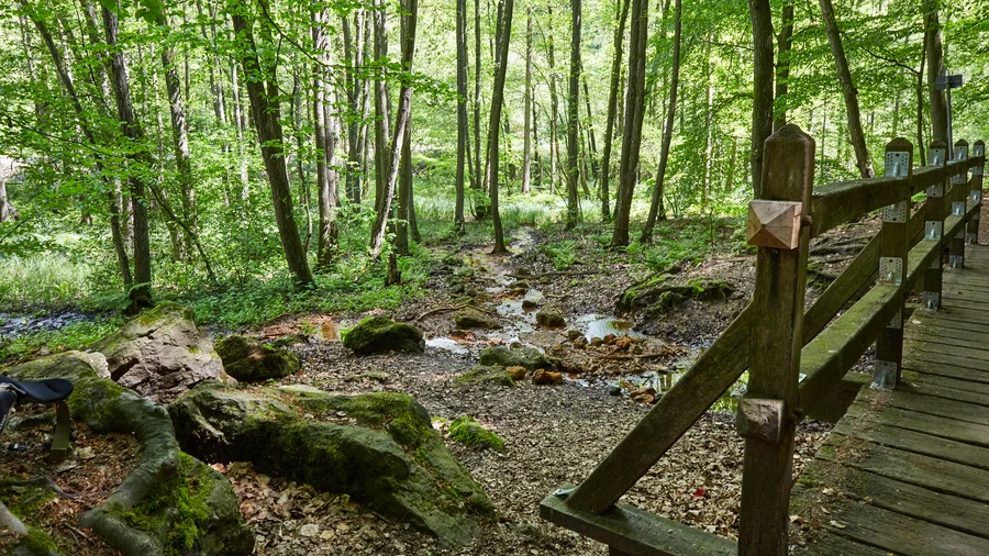 Dörenther Klippen