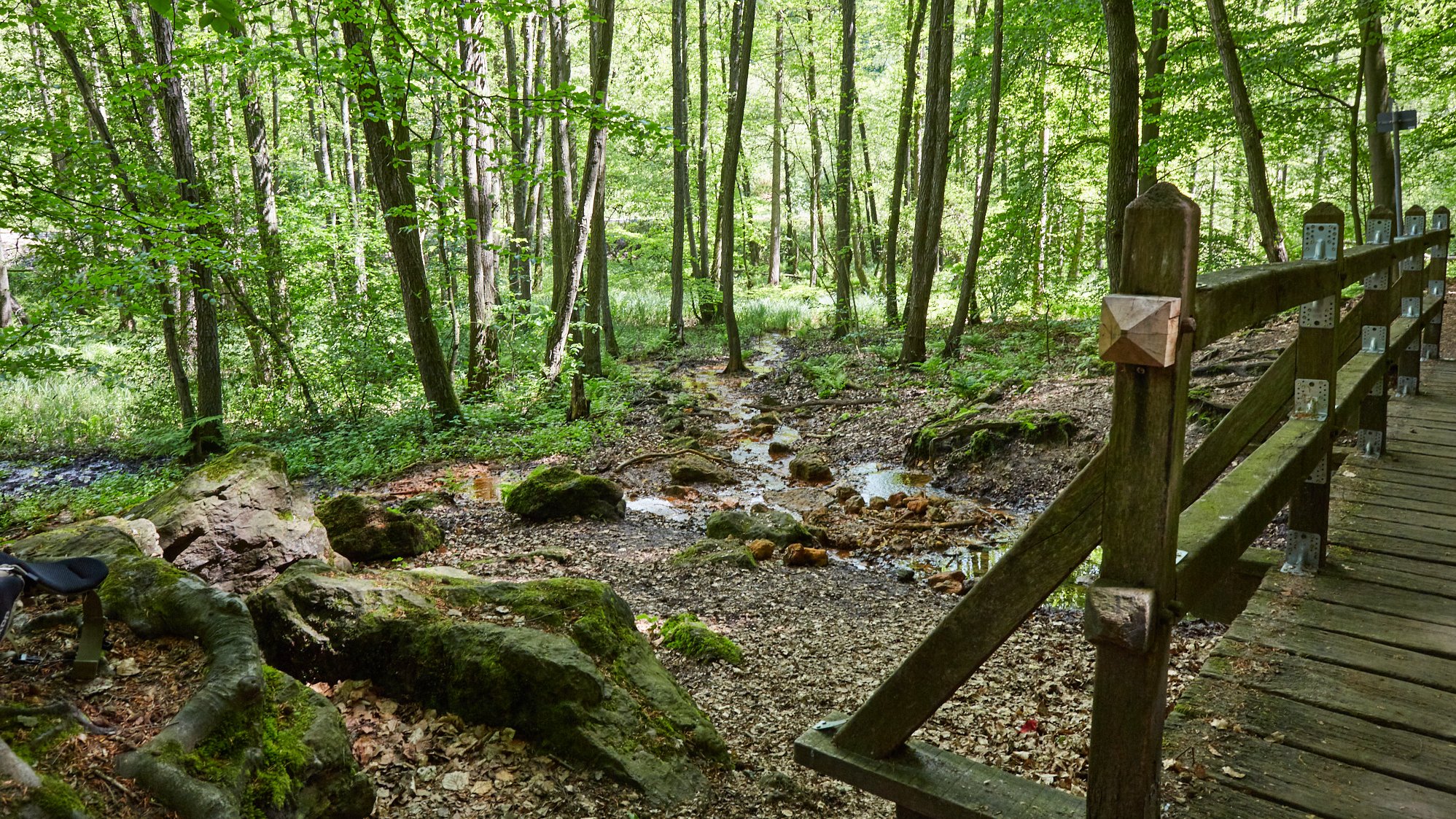 Dörenther Klippen