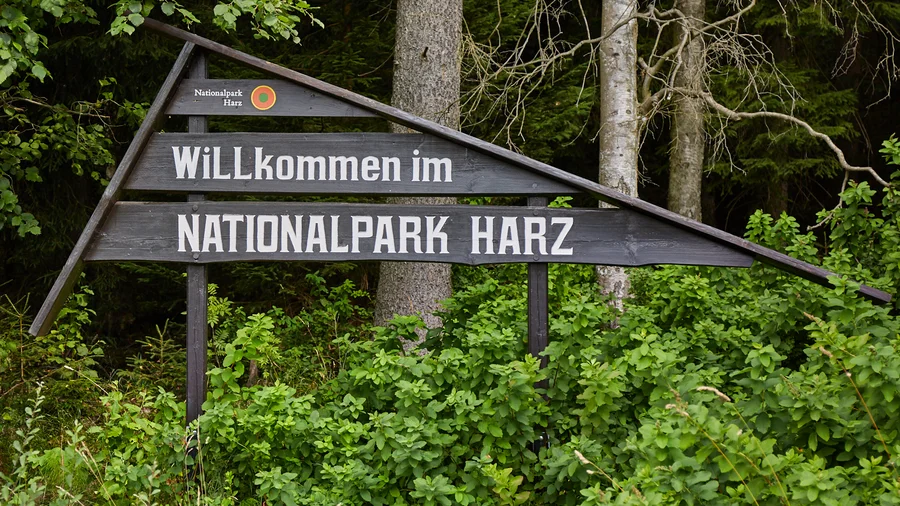 Nationalpark Harz