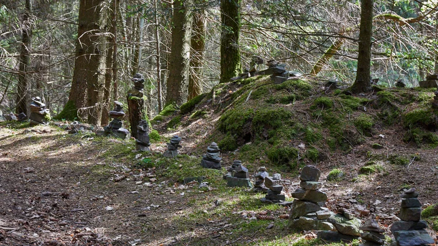 Nationalpark Eifel Schöpfungspfad