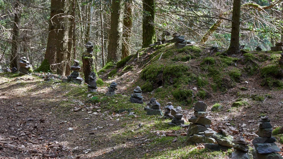 Nationalpark Eifel Schöpfungspfad