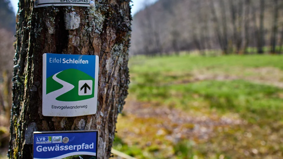 Auf der EifelSchleife Eisvogelwanderweg