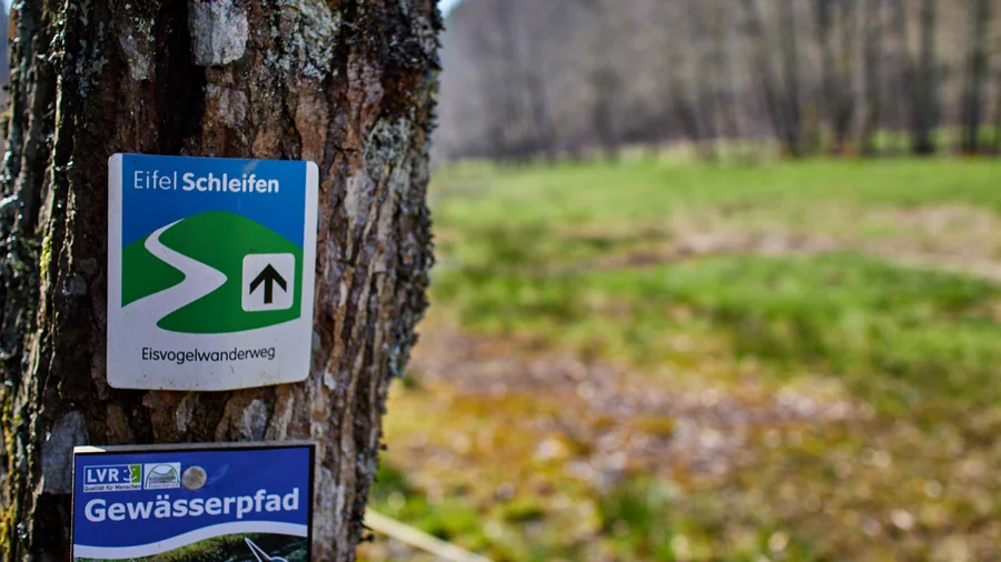 Eifelschleifen - Eisvogelpfad