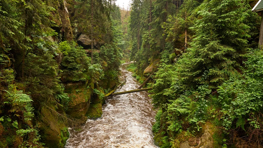 Kirnitzschklamm