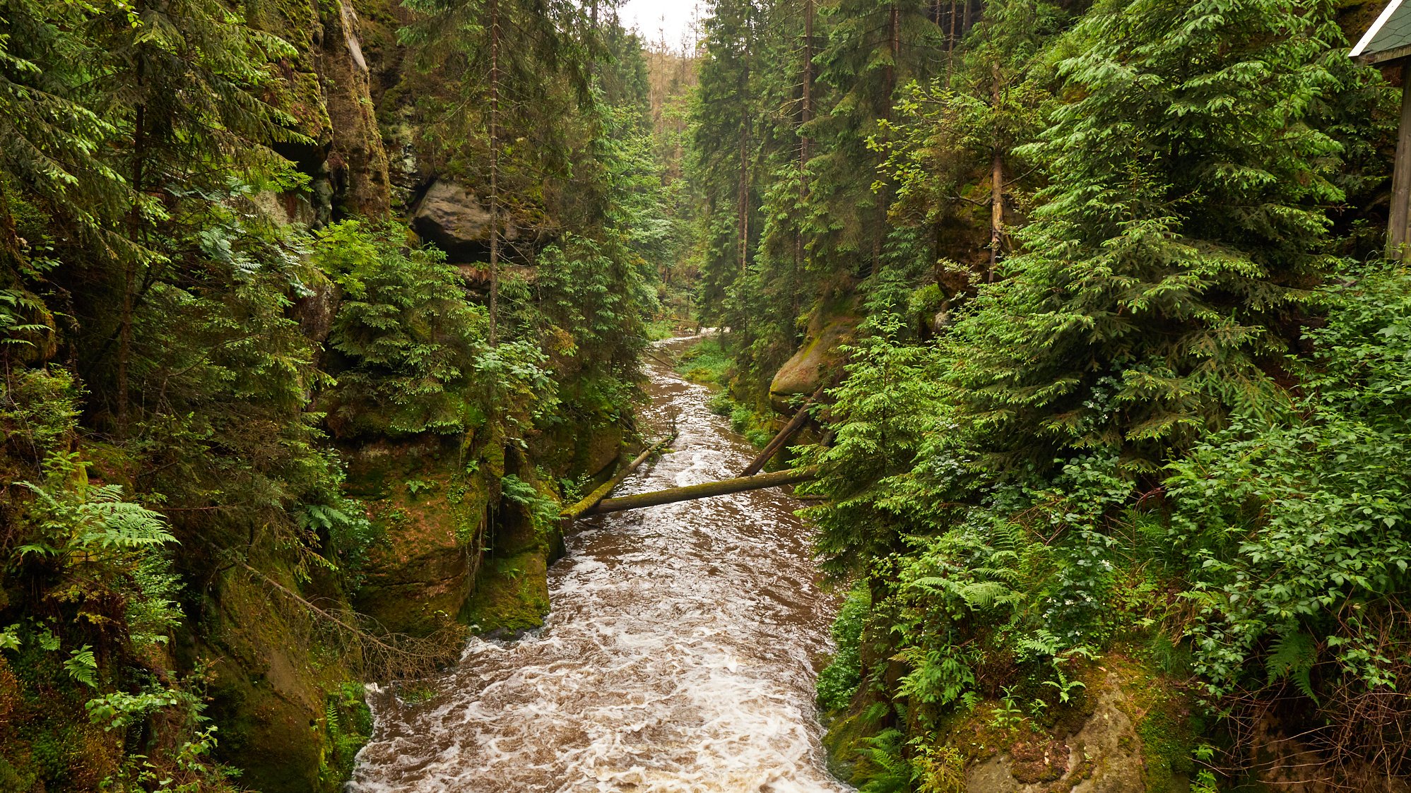 Kirnitzschklamm