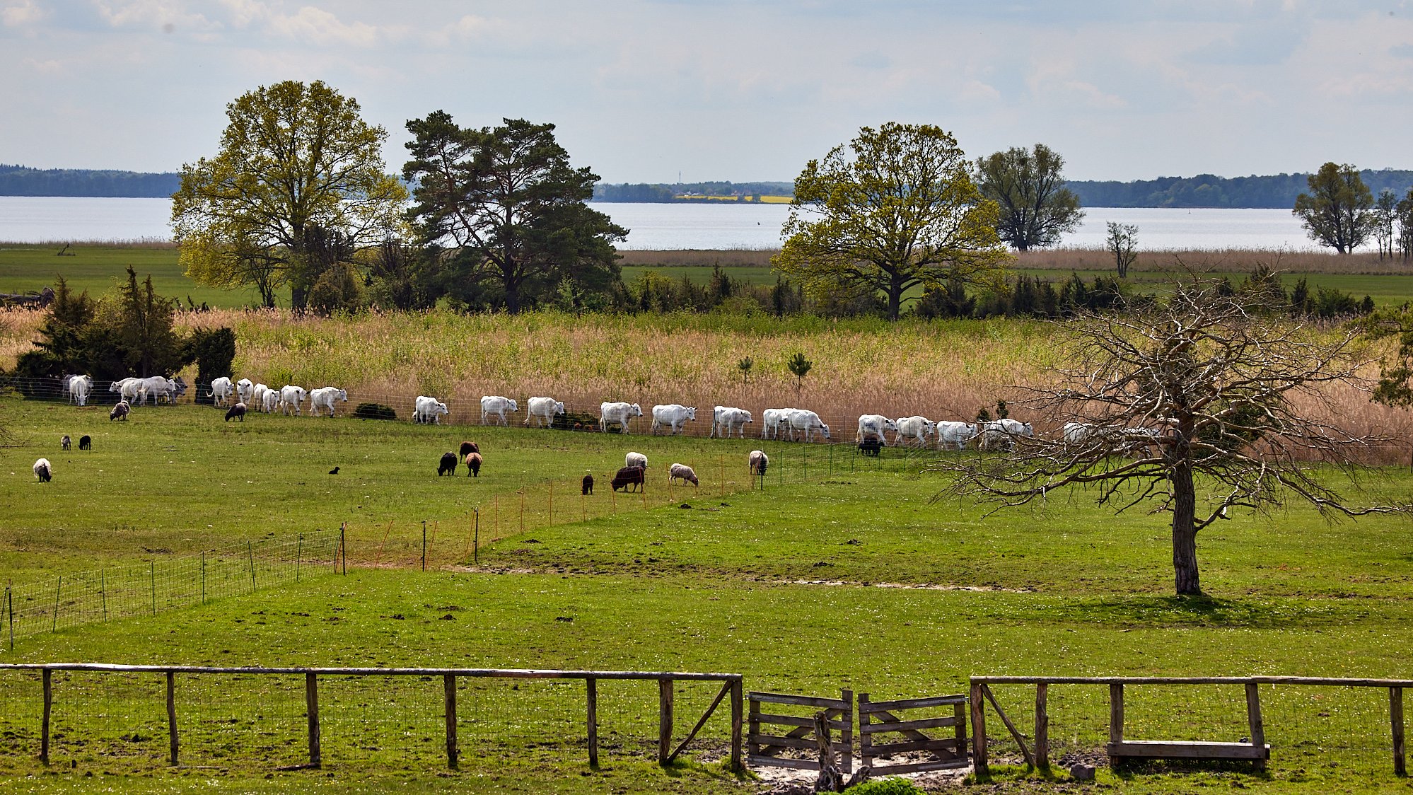 Müritzhof - Nationalpark Müritz