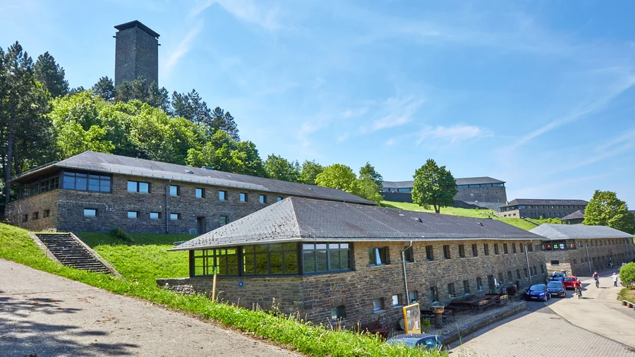 Vogelsang IP